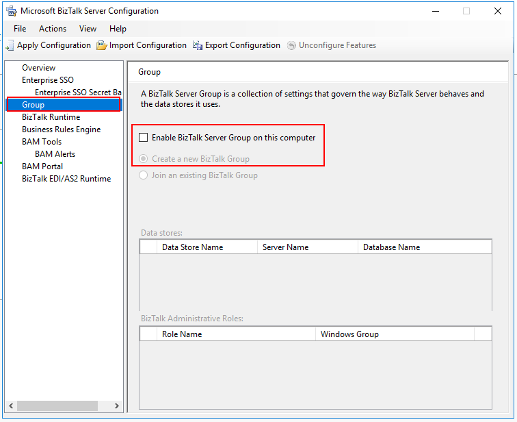 enable biztalk server group