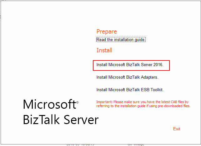 Install BizTalk